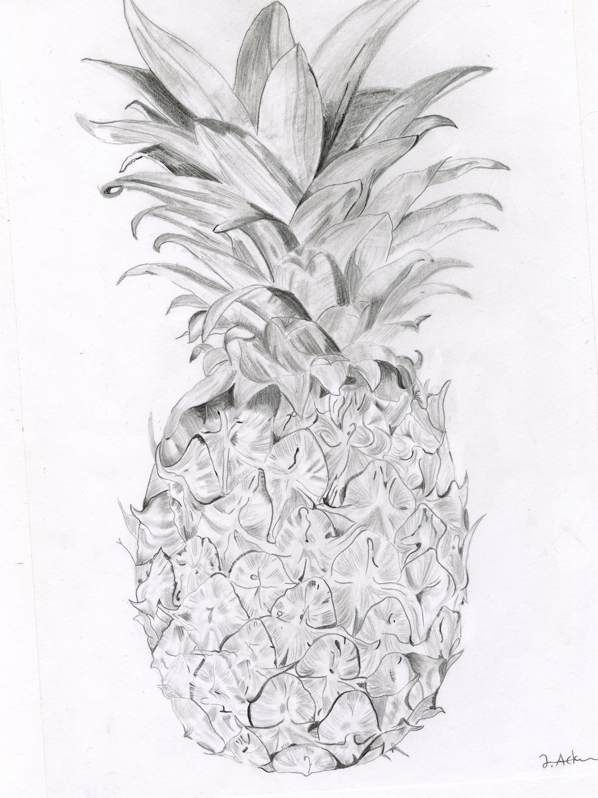 Ananas
